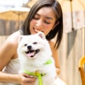 The Ultimate Guide to Pet-Friendly Event Halls in Sacramento, California
